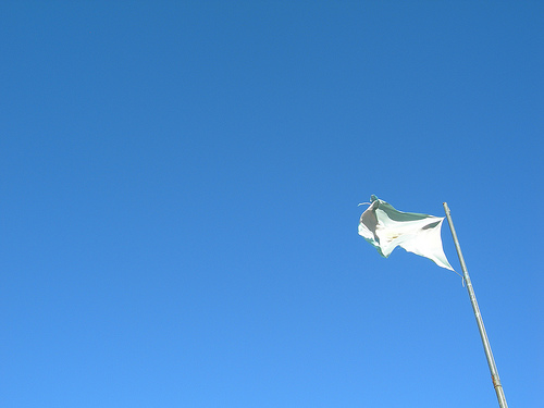 Bandera Bandera