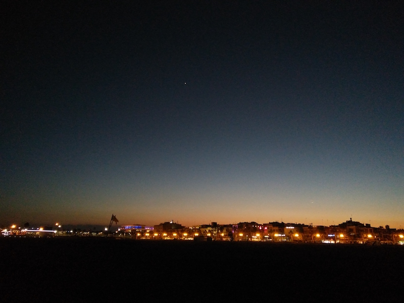 Noche malvarrosa